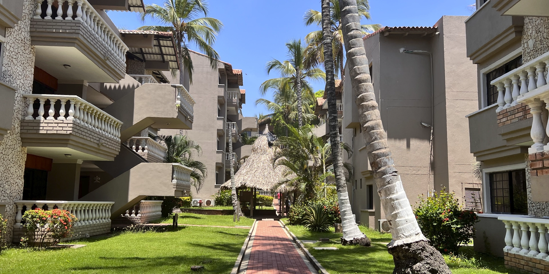 on-vacation-colombia-destino-nacional-santa-marta-hotel-mendihuaca-camino-y-palmeras.webp